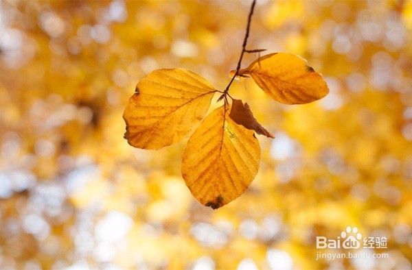 如何过年这一关