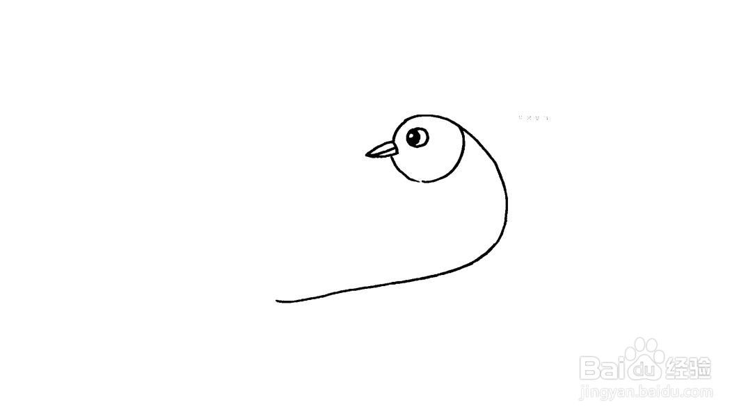 无名小鸟简笔画教程