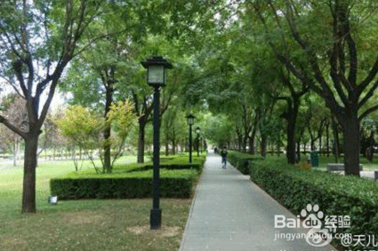 怎样才能改变孤僻不合群的性格