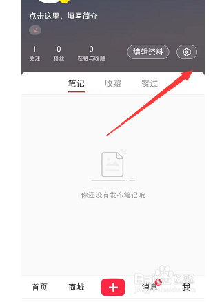 小红书如何设置私信通知提醒？