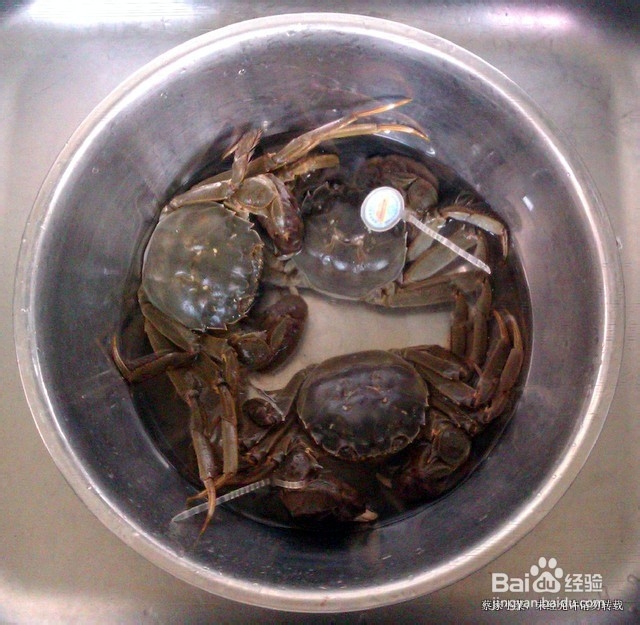 吃蟹的又一种选择――紫苏蒸湖蟹