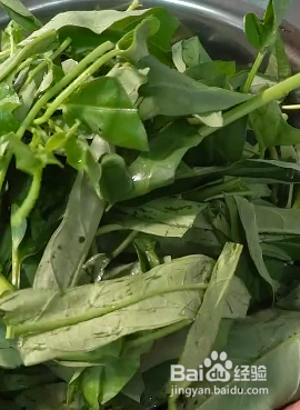 怎样做蒜泥空心菜呢