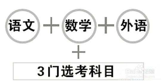 高考改革最新版