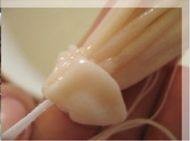 糯米香肠的做法