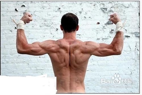 肌肉男锻炼计划：[4]如何锻炼出宽厚的肩肌