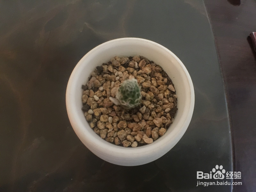 广角镜头，鱼眼镜头，微距镜头的使用技巧，方法