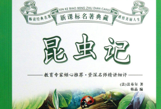 大孔雀蝶的读书笔记50字