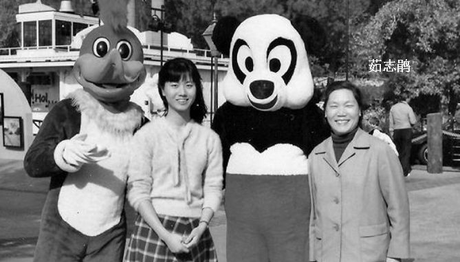 课文《百合花》概括