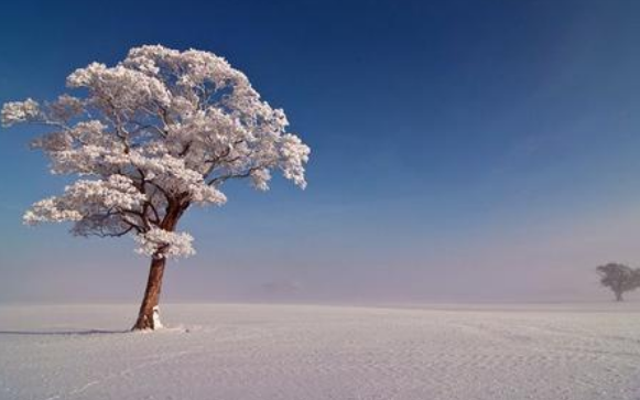 2020年第1场雪时应该发什么样的朋友圈说说