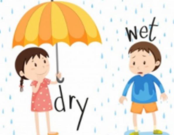 dry的比较级为什么是drier, 而不是dryer