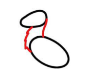 简笔画—如何画一只美丽的驯鹿