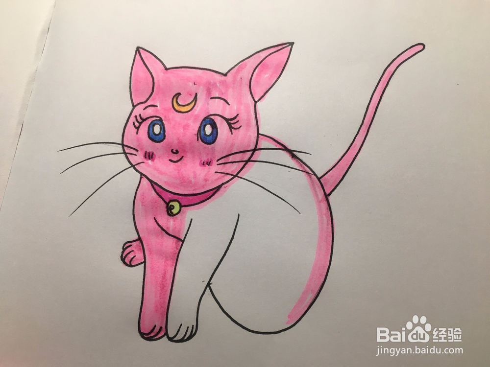 彩绘:手绘一只有月亮标记的卡通猫咪 动漫线稿