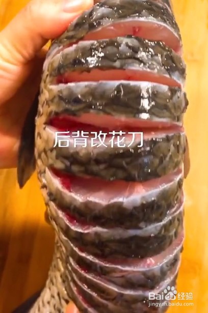 美味回锅肉焖草鱼