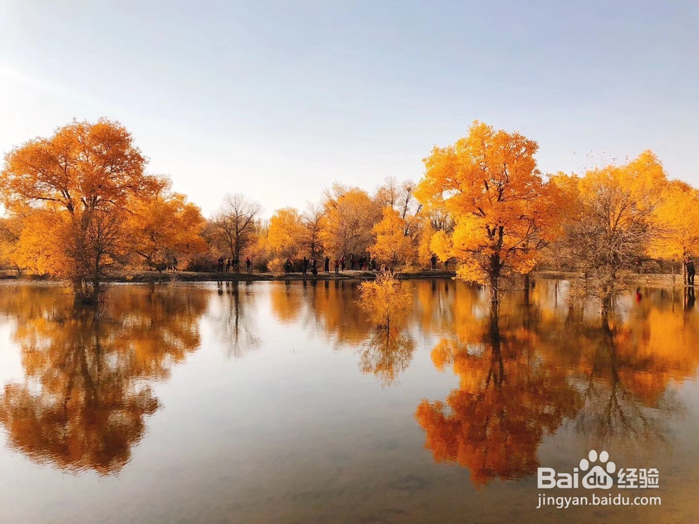 都说人活一世，一定要走一趟大西北