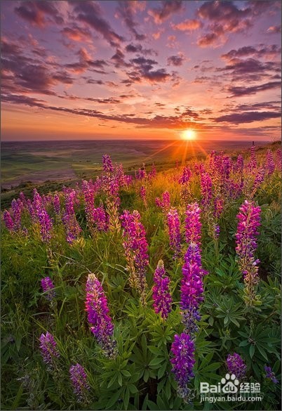 怎样分辨图片是否被PS过