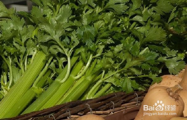芹菜对身体的健康益处