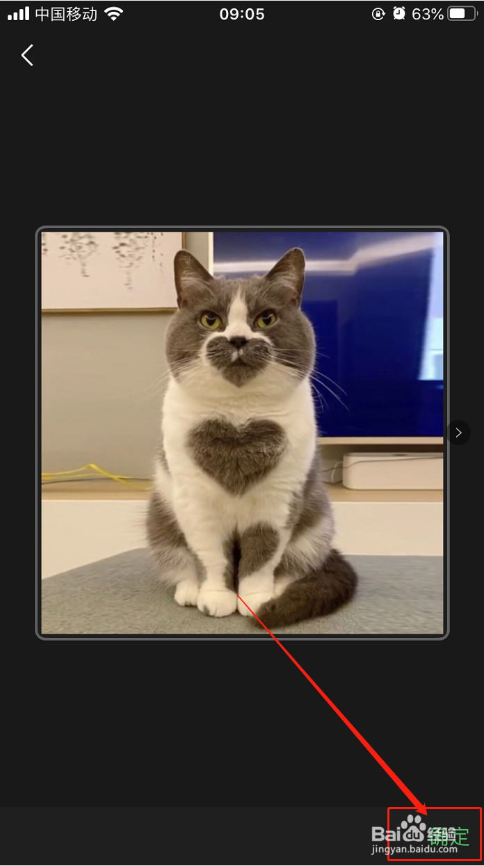 微信怎么添加自己喜欢的图片到表情包