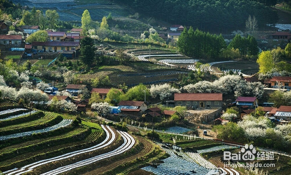 哈苏对焦技巧