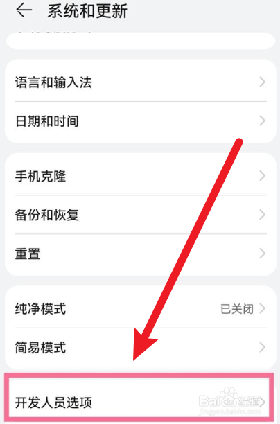 在哪里打开鸿蒙系统的开发人员选项