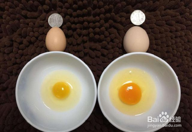 如何挑选鸡蛋