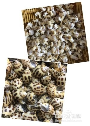 怎么做花螺胖鱼头