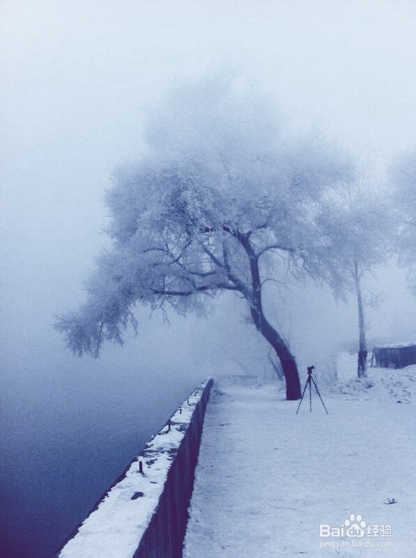 手机摄影技巧：[6]雾凇拍摄小贴士