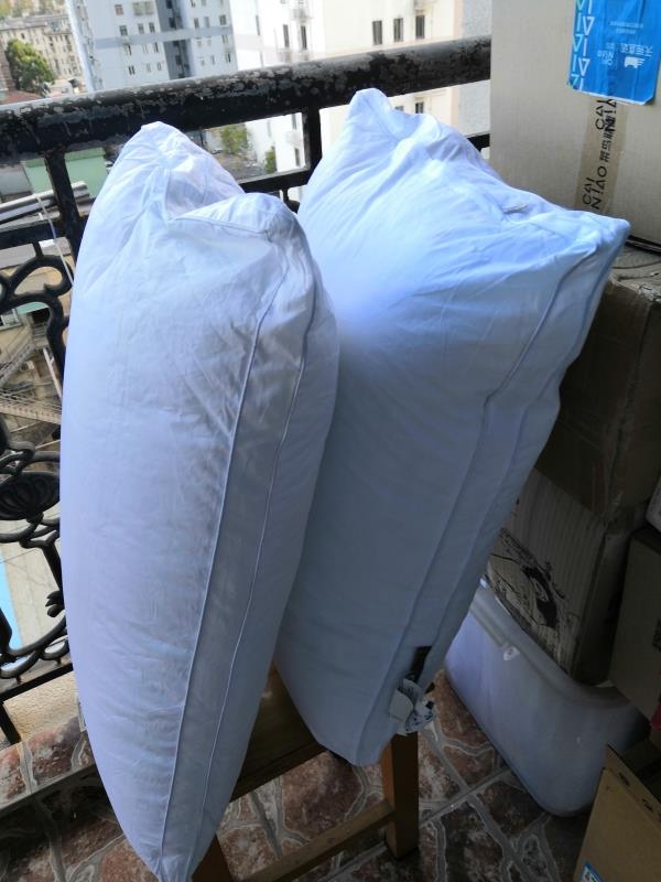 假期熬夜、发胖、假养生?你们要的健康生活方式指南来了