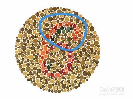 色盲检查图（第五版）的使用方法