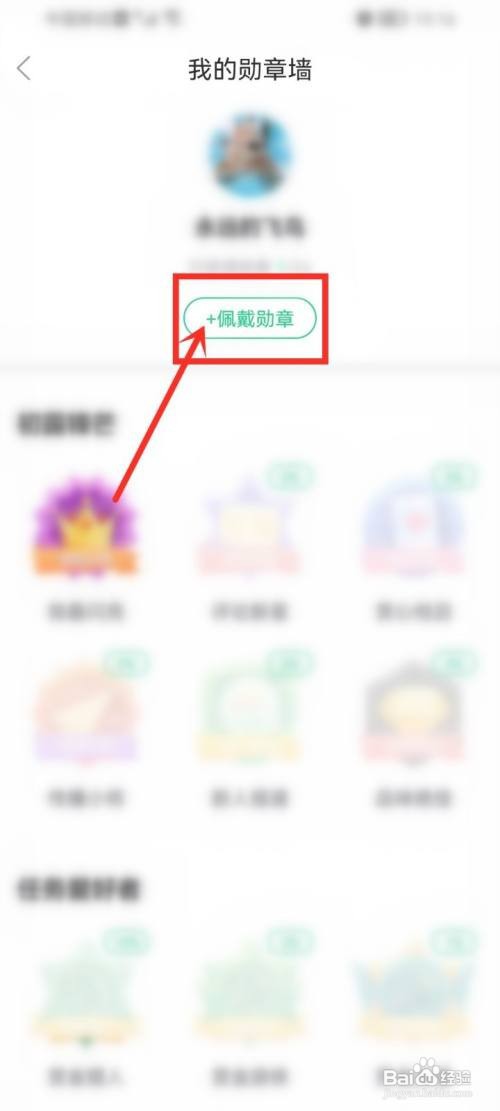 壁纸多多如何佩戴勋章