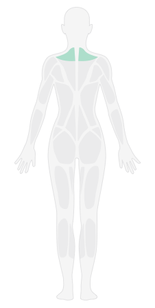 弹力带提拉_弹力带塑形男生版