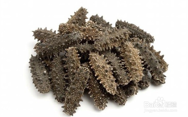 购买海参时，怎么区分干海参的好坏