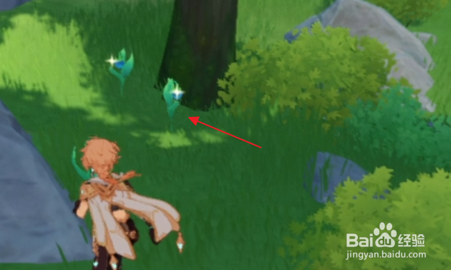 原神怎样采集小灯草