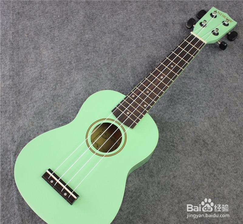 哪些乐器简单好学？