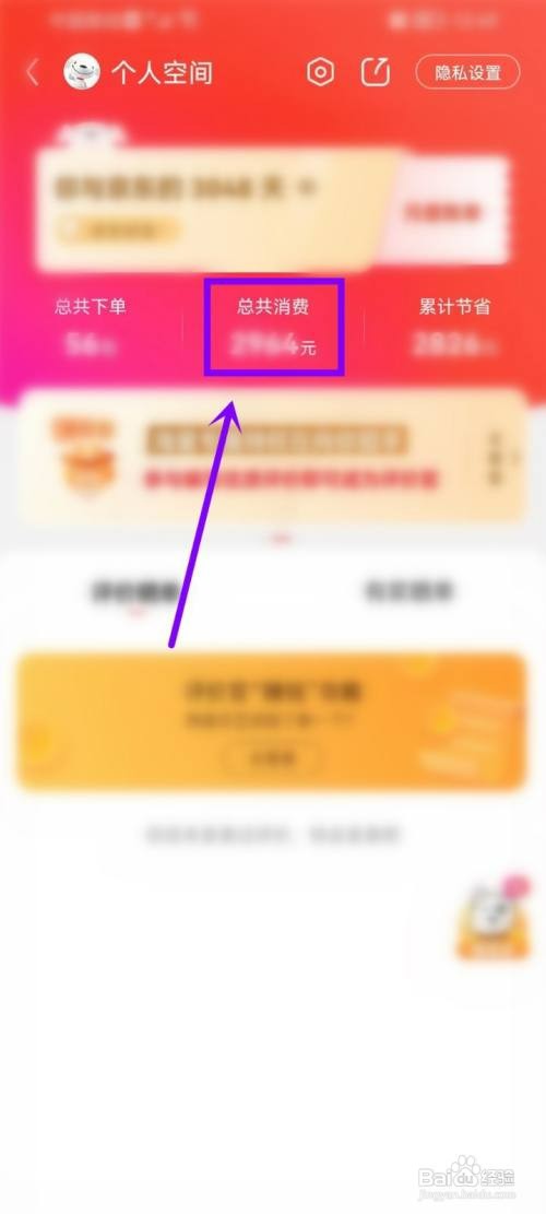 在哪才能看京东消费总额