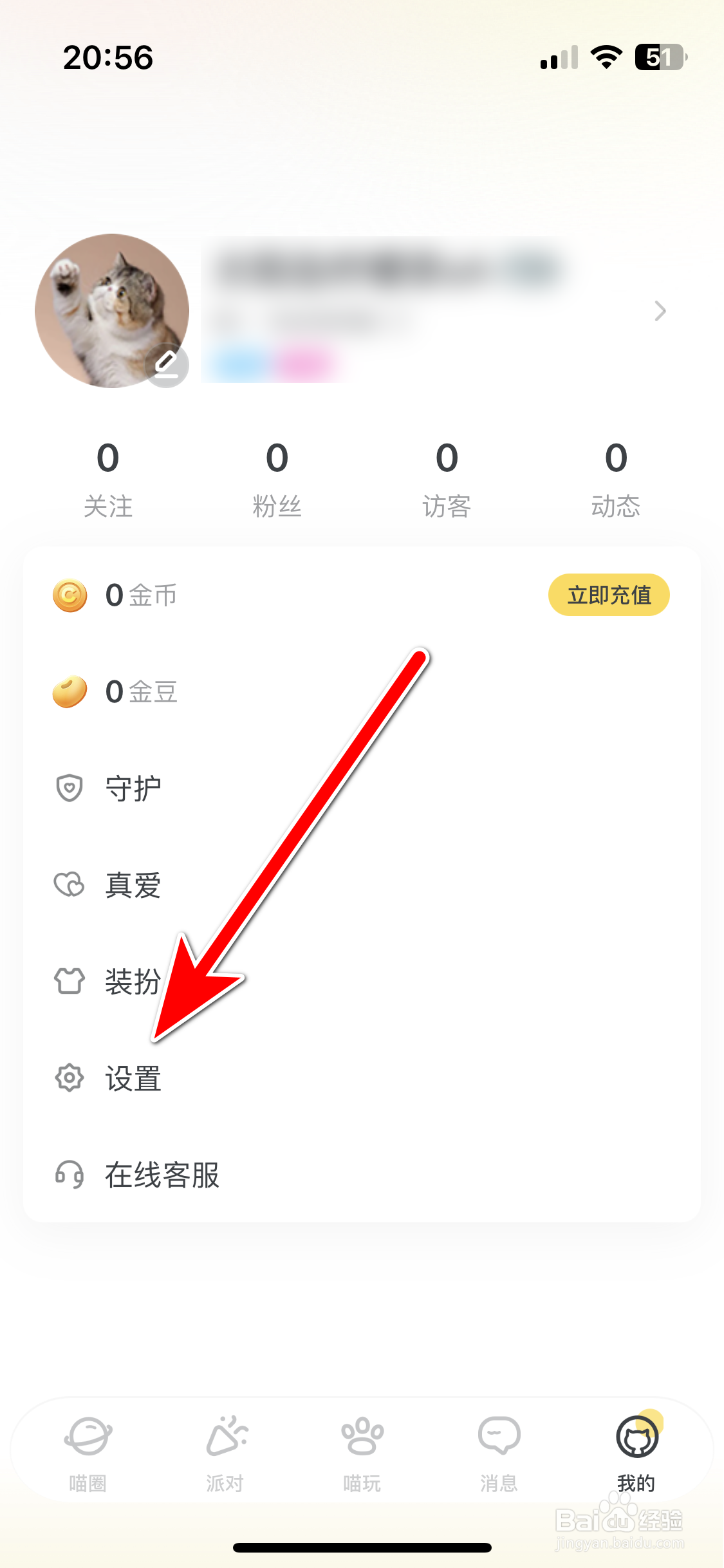 喵丸如何开启榜单隐身功能