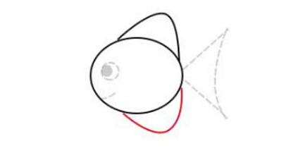 简笔画如何画小鱼