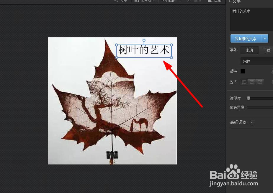 光影魔术手怎么给图片加文字