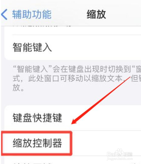 iphone13缩放控制器颜色怎么修改