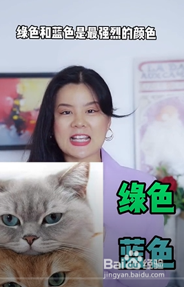 小猫咪的秘密