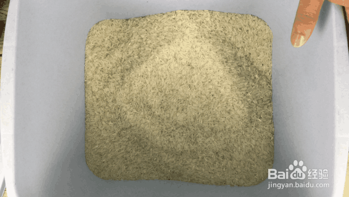 香蕉催熟最快方法