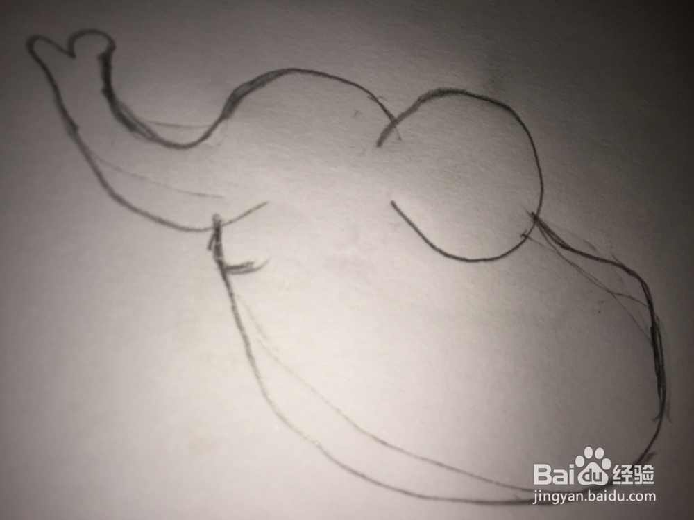 画画——画大象