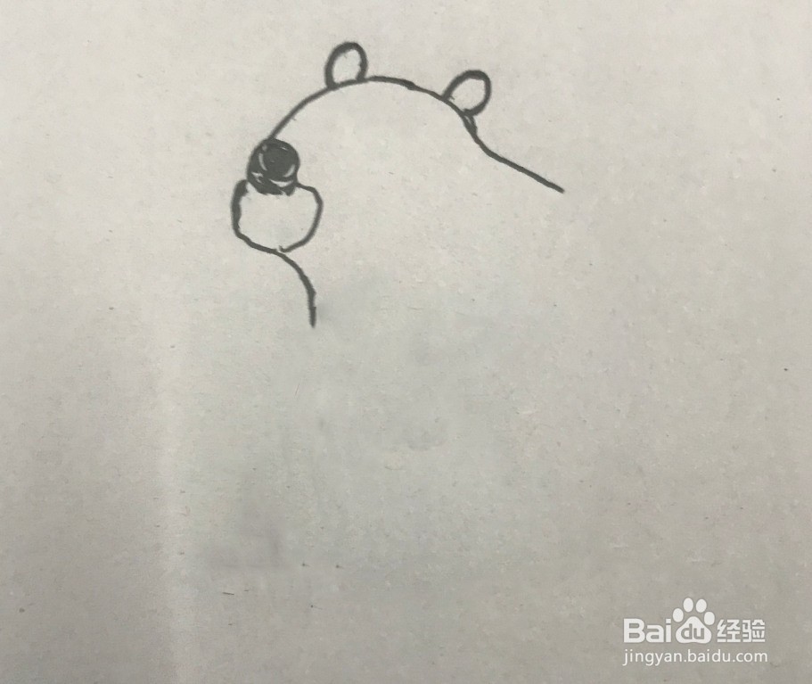 如何画大笨熊的简笔画