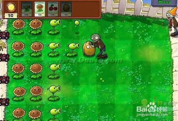《植物大战僵尸》第一大关详细流程攻略