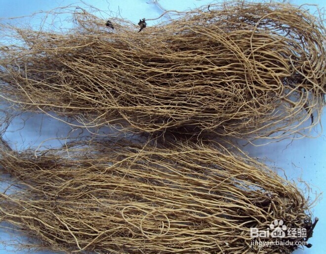 土单验方——口腔科：[4]口腔炎