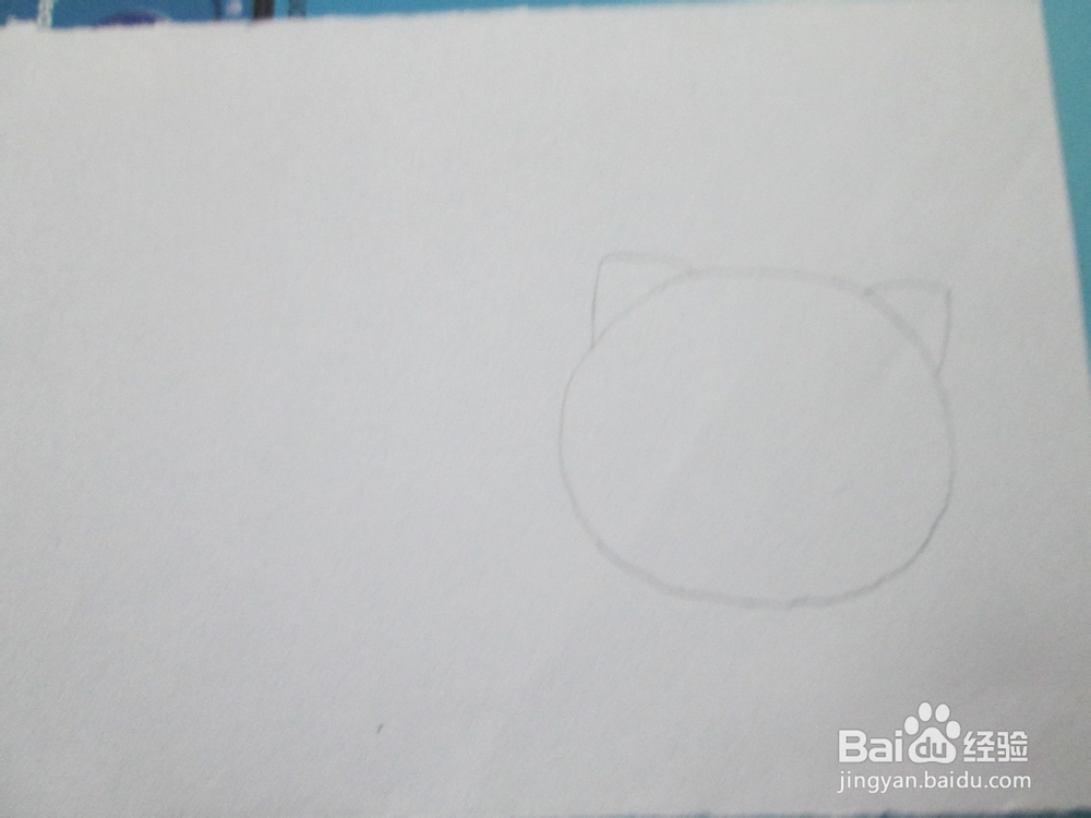 黑白线描画《猫咪》的作画步骤