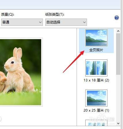 电脑图片怎么打印