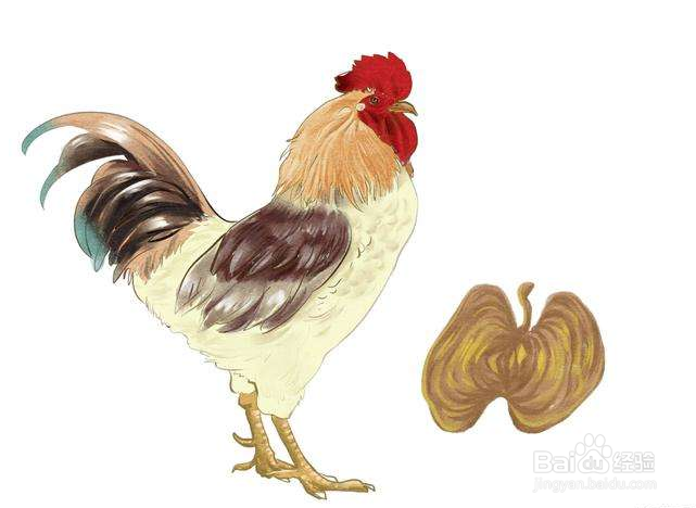 鸡内金可以治肾结石?其实白茅内金茶更好!