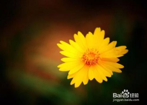 如何提高自己的心理韧性?