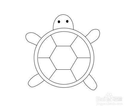 乌龟怎么画 一步一步图片