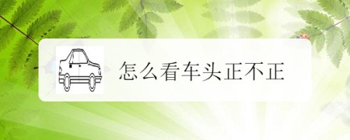 怎么看车头正不正